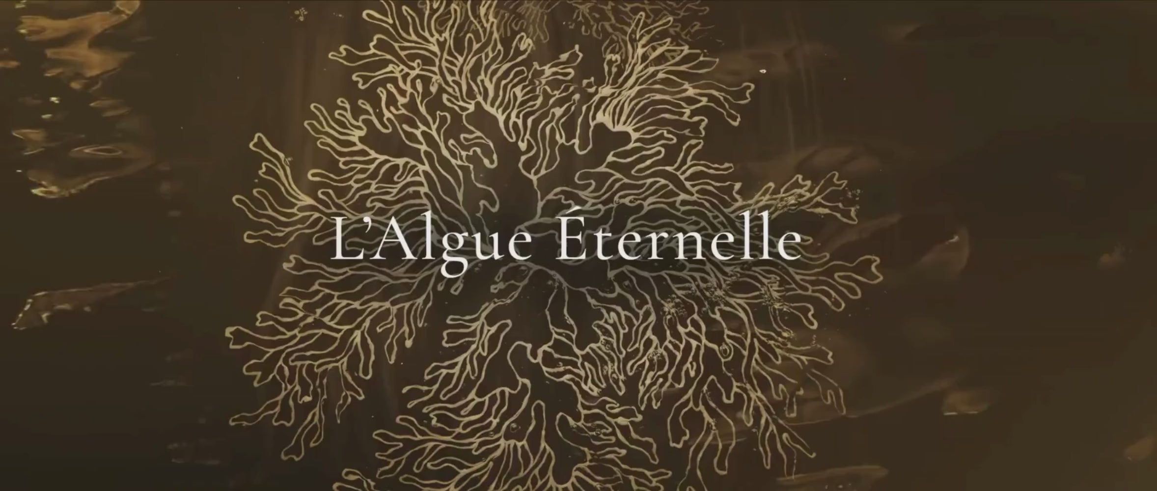 Load video: Rituel Océan Secret Thalion